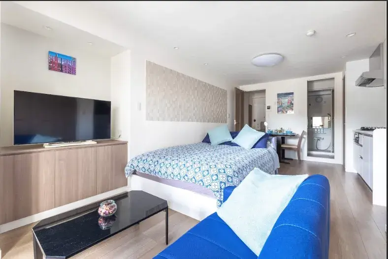 Newly renovated beautiful apartment in Akasaka