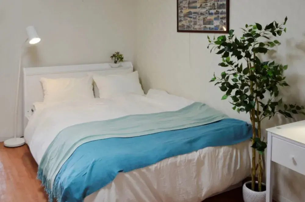 Property view 3