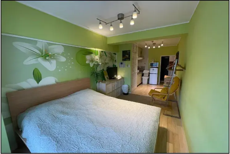 Vibrant 1-Bedroom Apartment near Shibuya